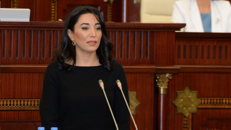 Deputatlar sabah Ombudsmanı sorğu-suala çəkəcəklər 