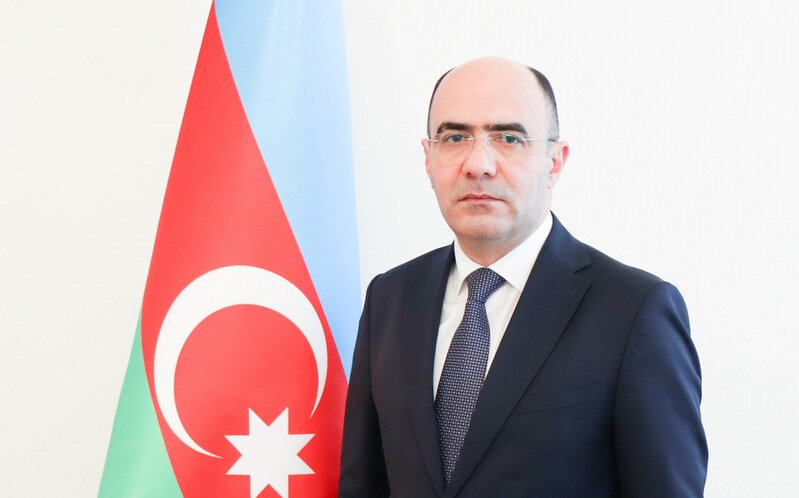 Nazir müavini: 'Əczaçılıq sahəsində ciddi problemlər var