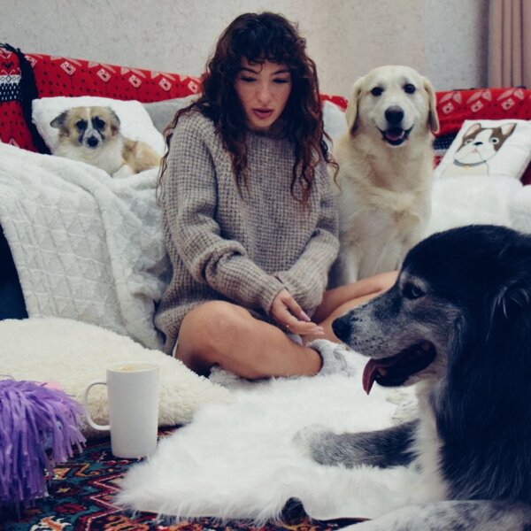 Dilarə Kazımova evində itləri ilə - FOTOLAR