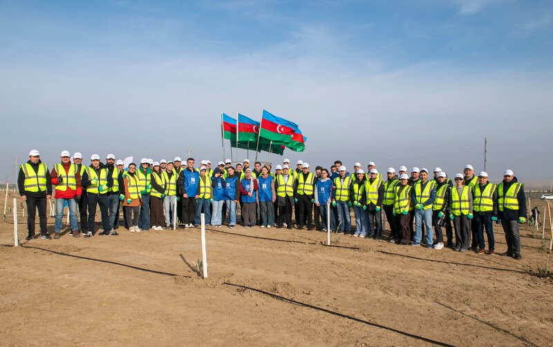 SOCAR Midstream' ağacəkmə aksiyası keçirdi - FOTOLAR