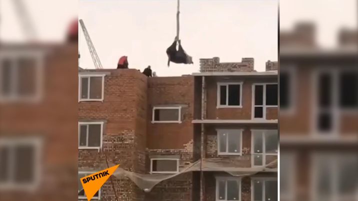 Tikinti sahəsinin üzərindən inək "uçdu" – VİDEO