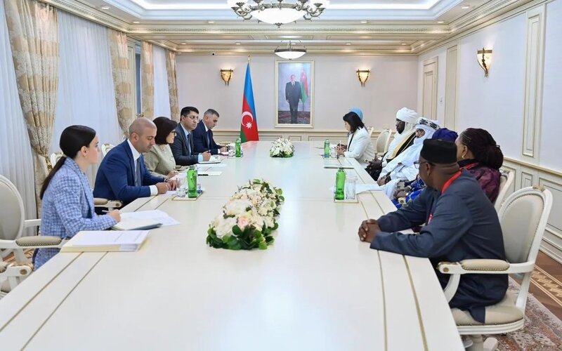 Sahibə Qafarova Afrika Qrupu nümayəndələri ilə görüşdü