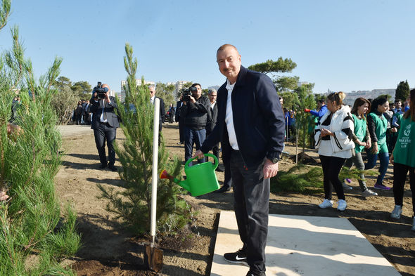 İlham Əliyev və Mehriban Əliyeva ağacəkmə aksiyasında - FOTO