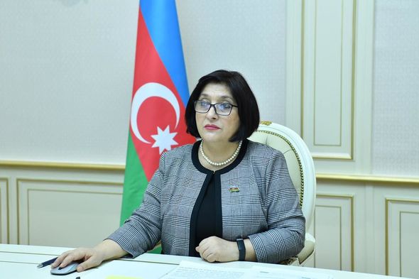 Sahibə Qafarova miqrant problemində beynəlxalq təşkilatların təsirsizliyini səbəb kimi görür - FOTO