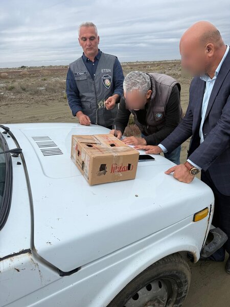 Neftçalada ov qaydalarını pozan şəxs saxlanıldı - FOTO