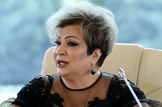 Afaq Bəşirqızı Xankəndidəki zirvə görüşü barədə: 