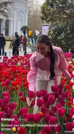 Bulvarda gülləri əzənlər məşhur bloqerlər imiş - Adlar