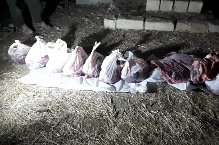 AQTA qanunsuz heyvan kəsimi fəaliyyətinin qarşısını aldı