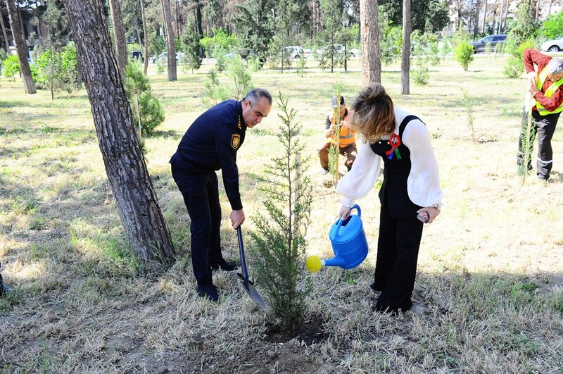Naftalanda Ulu Öndərin 102 illiyi münasibətilə tədbir keçirilib