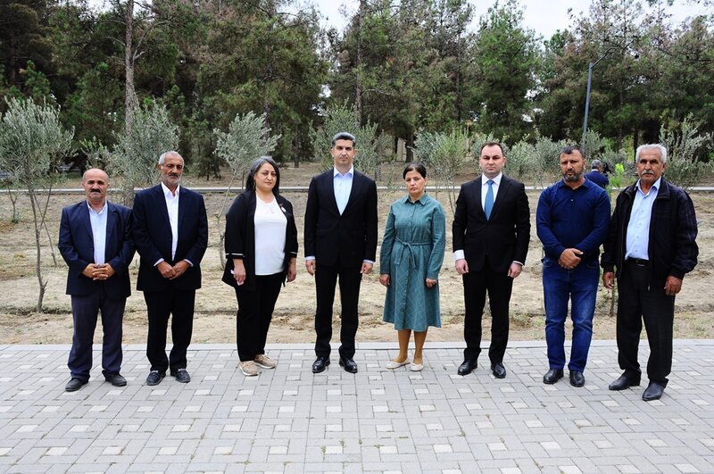 Naftalanda Anım Günü ilə əlaqədar ağacəkmə aksiyası keçirilib - FOTOLAR