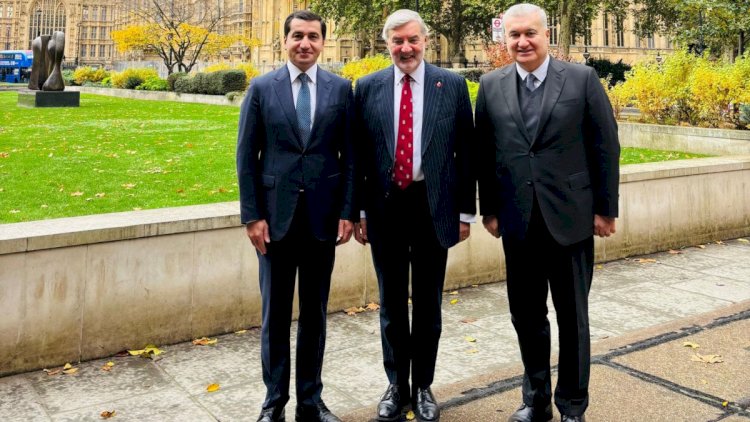 Hikmət Hacıyev Britaniyanın Azərbaycan üzrə ticarət elçisi ilə görüşdü