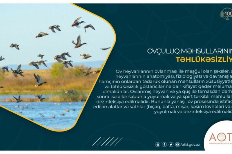 Ovçuluq məhsullarının təhlükəsizliyi - MƏQALƏ