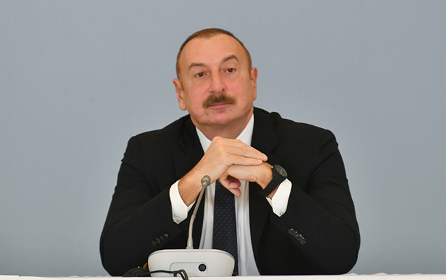 Dövlət başçısı: Bəzi ölkələrin yürütdüyü 