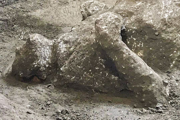 Tarixə düşən faciəvi vulkan püskürməsinin yeni qurbanları tapıldı - FOTO