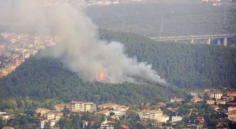 Siyəzən, Şabran, Xaçmaz və Qubadakı meşə yanğınları nəzarətə GÖTÜRÜLDÜ