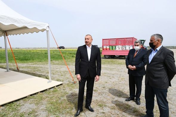 İlham Əliyev pambıq tarlasında səpin prosesini izlədi - YENİLƏNİB+FOTO/VİDEO