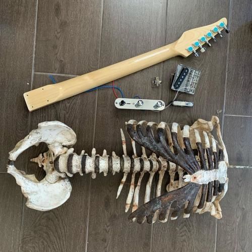 Əmisinin sümüklərindən gitara düzəltdi - FOTO/VİDEO