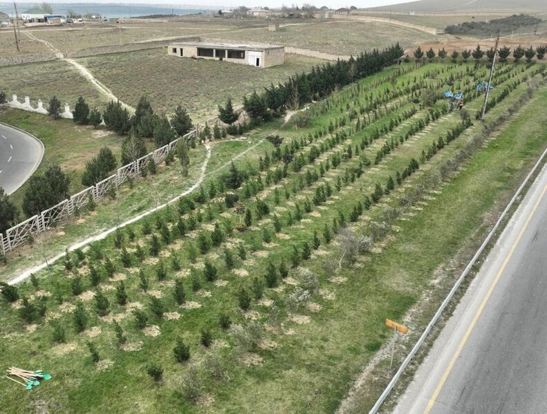 Abşeron rayonunda 