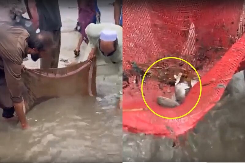 Leysandan sonra küçənin ortasında balıq tutan pakistanlılardan maraqlı görüntülər – VİDEO
