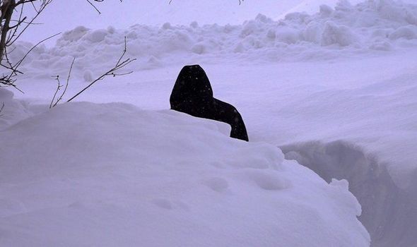 Türkiyədə kənd qarın atında qaldı: Evlərdən çıxmaq üçün tunel qazırlar - FOTO