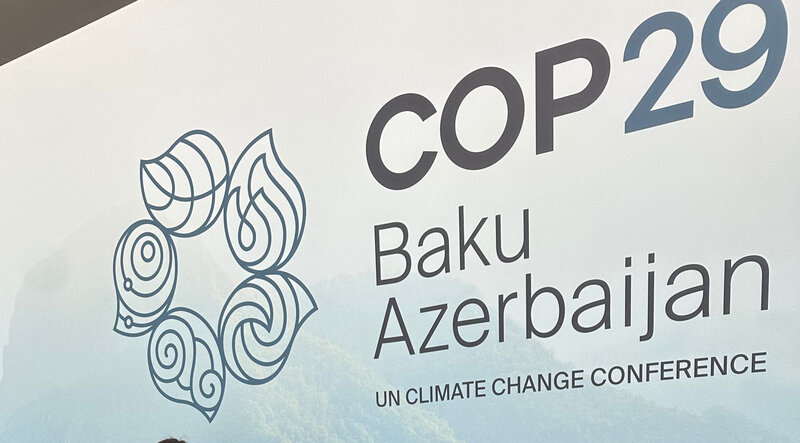 COP29: Dayanıqlı və ədalətli gələcəyə can atırıq