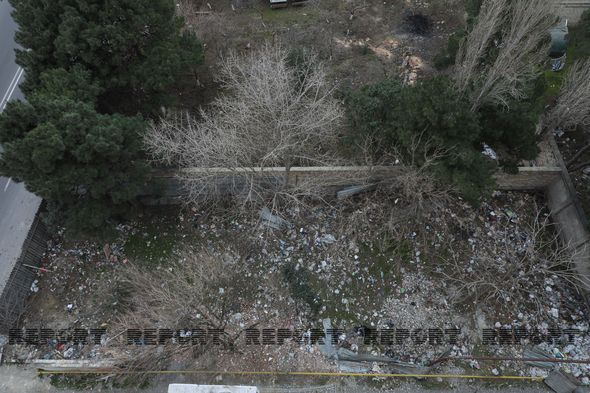 Nizami rayonunda ağaclar məhv edilir - FOTO