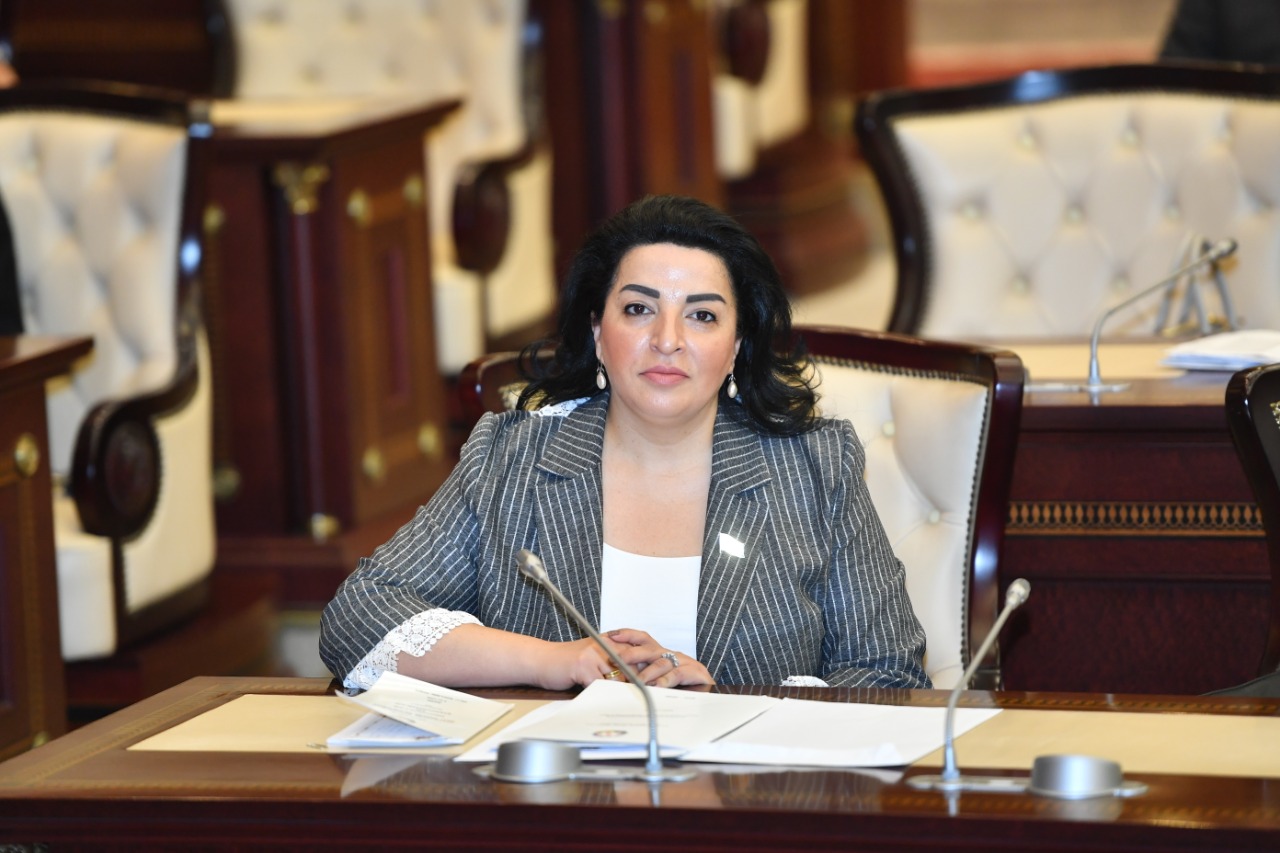  Deputatdan azərbaycanlıların xaricdəki aksiyaları barədə TƏKLİFLƏR