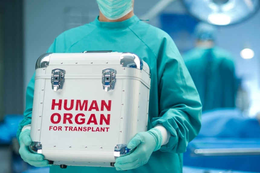 Orqan transplantasiyası ilə bağlı qanun layihəsi parlamentin plenar iclasına çıxarılır