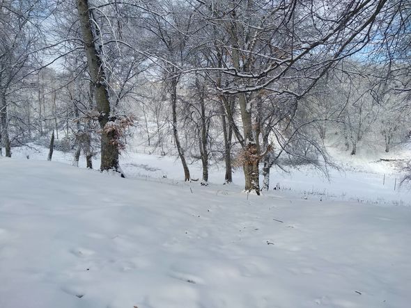 Azərbaycanda möhtəşəm qar mənzərəsi - FOTO 