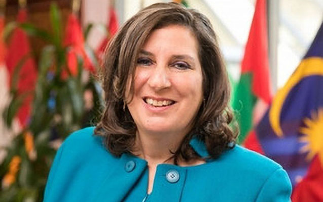 Brenda Şaffer Əhməd Obalıya hücumu PİSLƏDİ