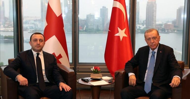 Ərdoğan Qaribaşvilini qəbul etdi - FOTO