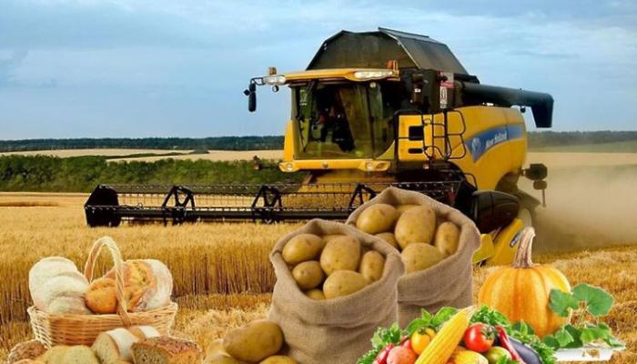 Kənd Təsərrüfatı Nazirliyinin bütün komandası istefa verməlidir - ƏTRAFLI