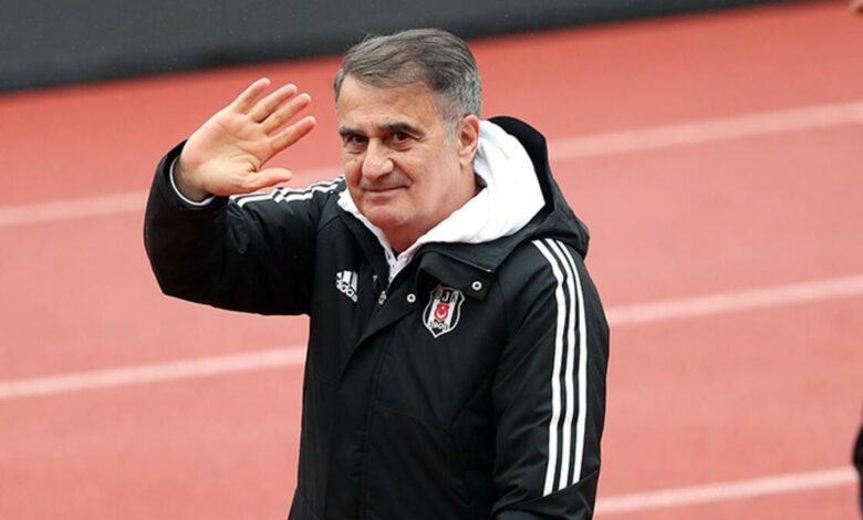 Şenol Güneş: 