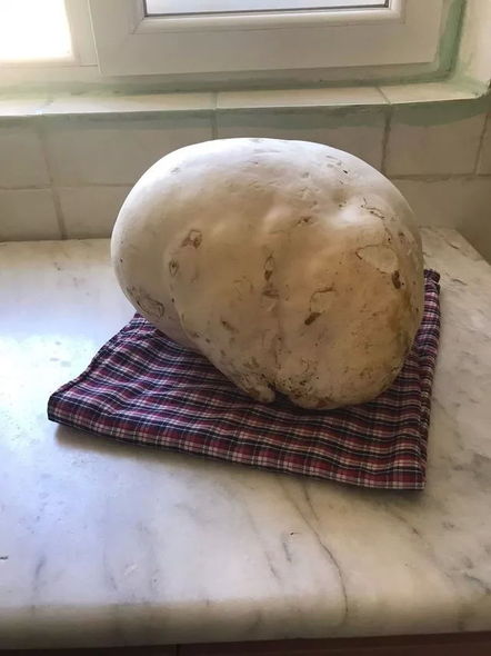 Çəmənlikdə 
