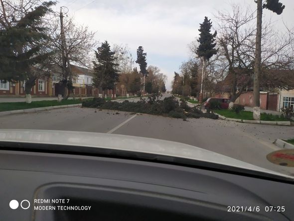 Güclü külək bəzi rayonları işıqsız qoydu - FOTO