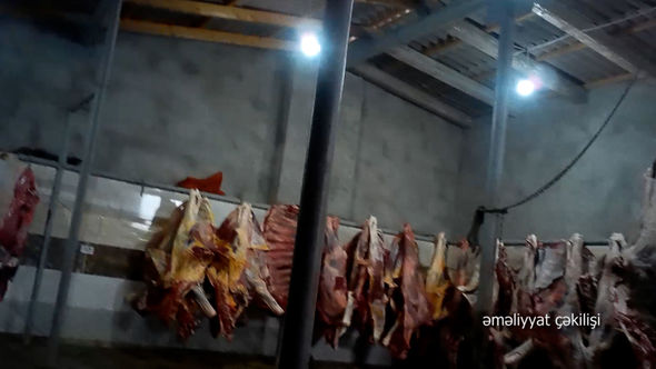 10 ton ölmüş heyvan əti satan şəxslər saxlanılıb - FOTO/VİDEO