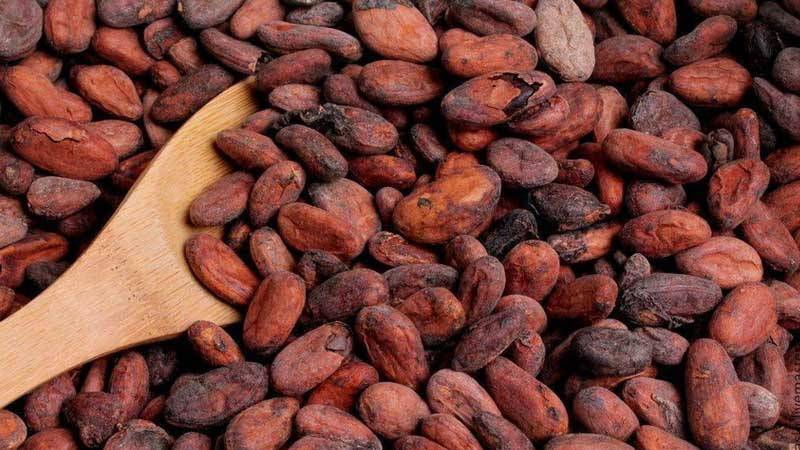 Kakaonun qiyməti rekord vurdu</p> 
 <p>