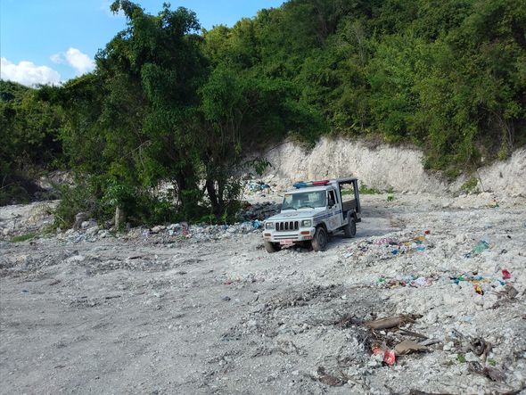 Sahibsiz it yeni doğulmuş körpənin həyatını xilas etdi - FOTO