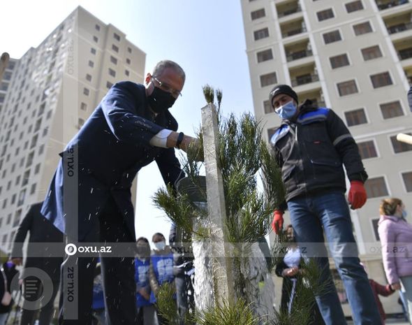 Nazir və agentlik sədri ağac əkdi - FOTO