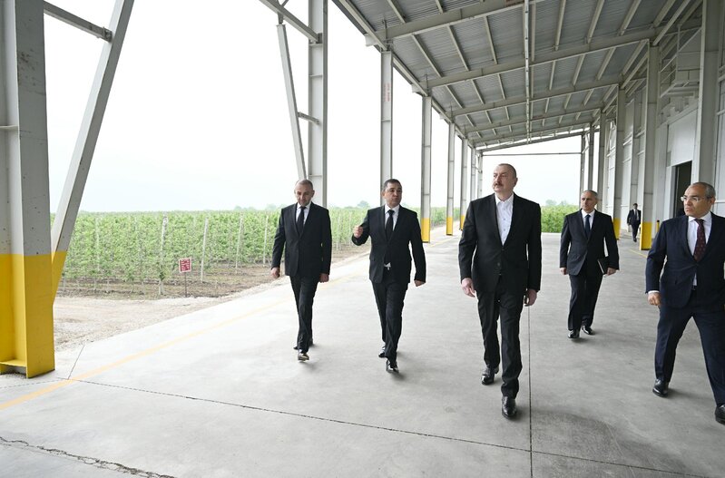 İlham Əliyev Qusarda bağçılıq və soyuducu anbar kompleksinin fəaliyyəti ilə tanış olub - FOTOLAR