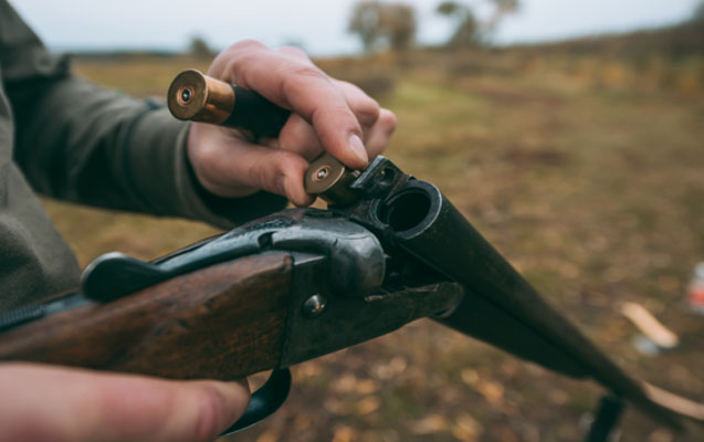 Qardaş qardaşı ov tüfəngi ilə qətlə yetirdi