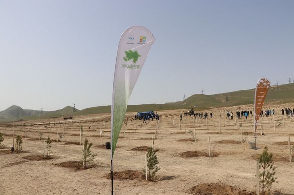 "​​​​​​​Yaşıl Marafon" çərçivəsində növbəti ağacəkmə aksiyaları keçirilib - FOTO