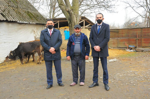 Oğuz və Qəbələdə şəhid ailələri və qazilər üçün təsərrüfatlar yaradıldı - FOTO