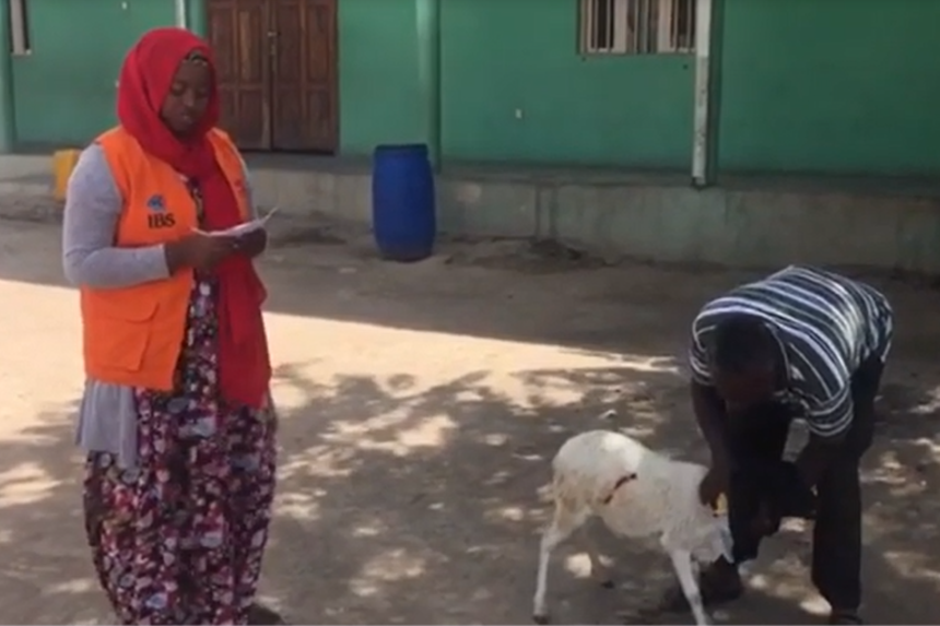 Xuraman yeni doğulan övladı üçün Afrikada qurban kəsdirdi