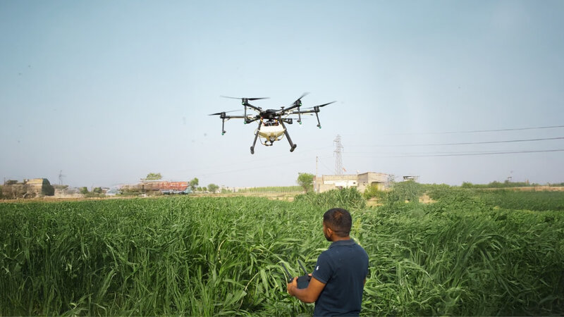 Torpağa gübrə veririk, bəs bitki niyə qidalanmır? – Qışa hazırlığın əsas sualı