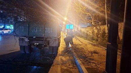 Son iki gündə güclü külək Bakıda 78 ağacı sındırıb - FOTOLAR