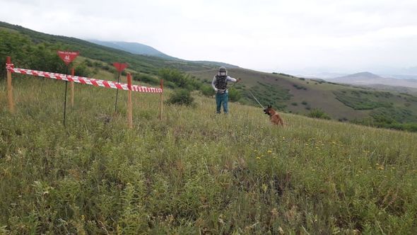 Ağstafada iki top mərmisi tapıldı - FOTO