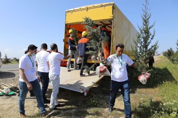 "Bir ağac bir nəfəs" devizi ilə ağacəkmə aksiyası keçirilib - FOTO