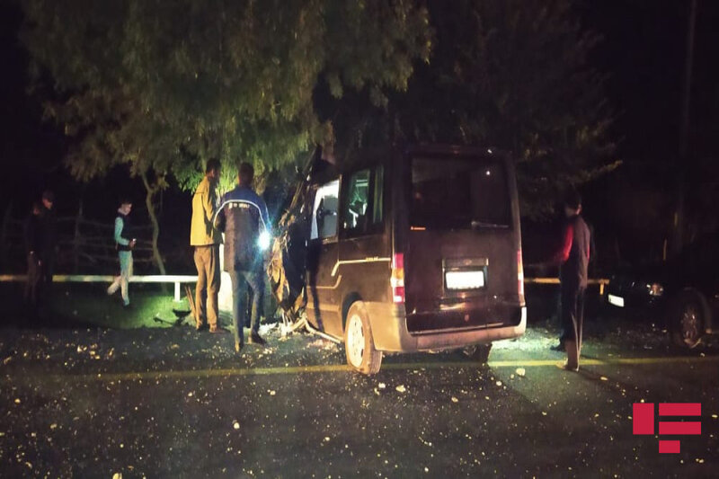 Avtomobil ağaca çırpıldı: sürücü xəsarət aldı