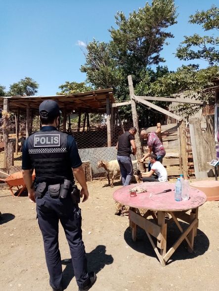 Polis qurbanlıq heyvanların satışının həyata keçirildiyi ərazilərdə reyd keçirdi - FOTO